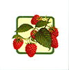 Fruit strawberry